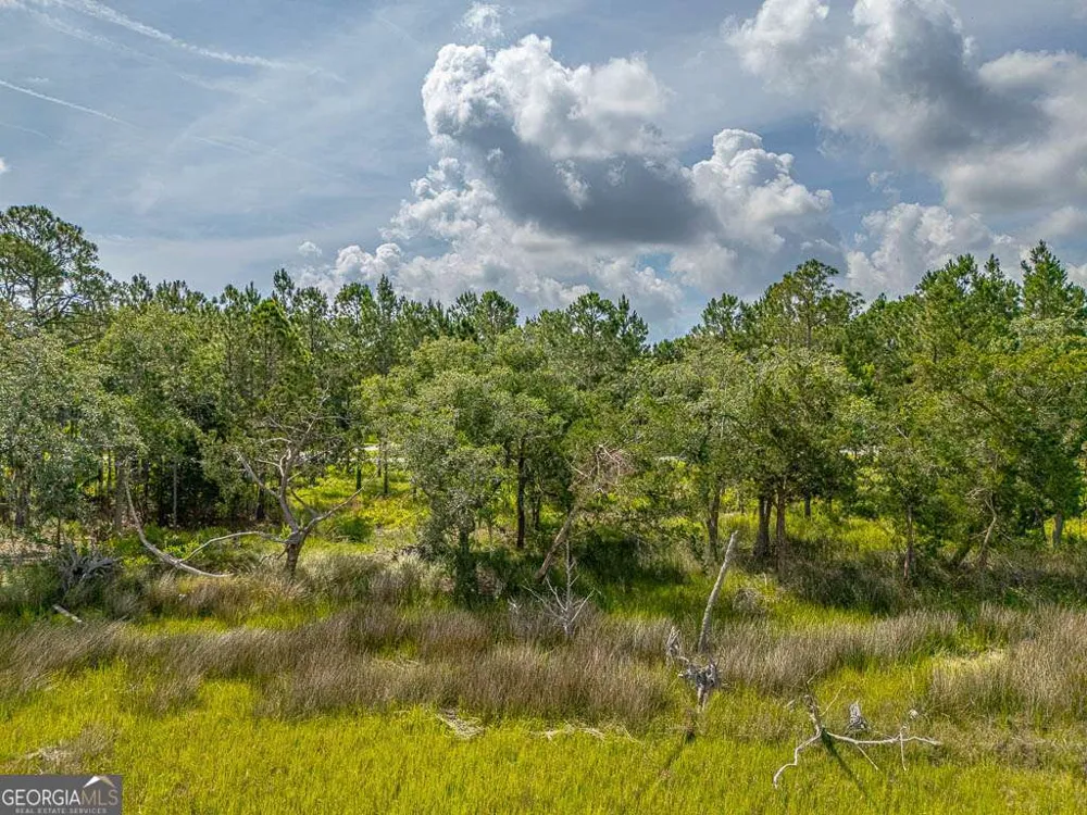 LOT 98 Wards WAY Waverly, GA 31565