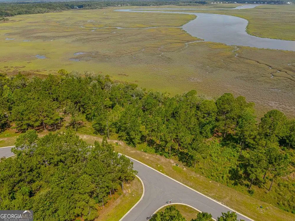 LOT 98 Wards WAY Waverly, GA 31565