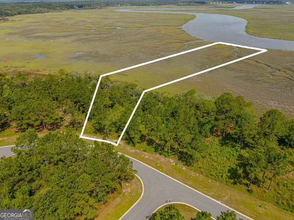 LOT 98 Wards WAY Waverly, GA 31565