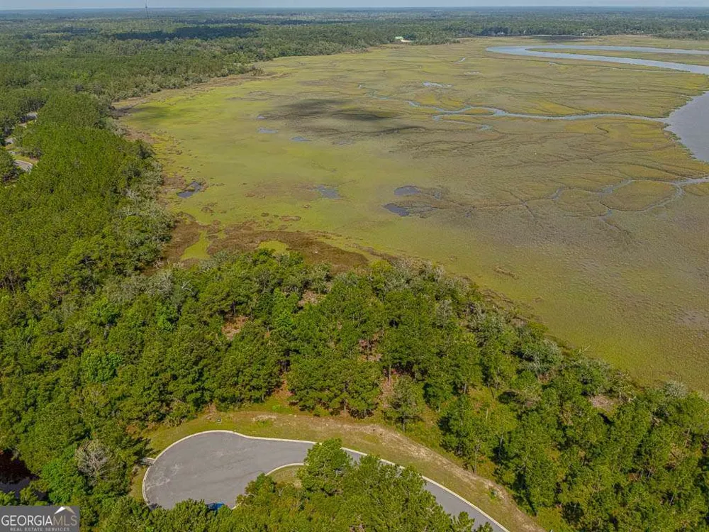 LOT 98 Wards WAY Waverly, GA 31565