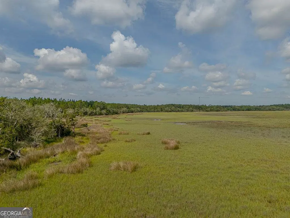 LOT 98 Wards WAY Waverly, GA 31565