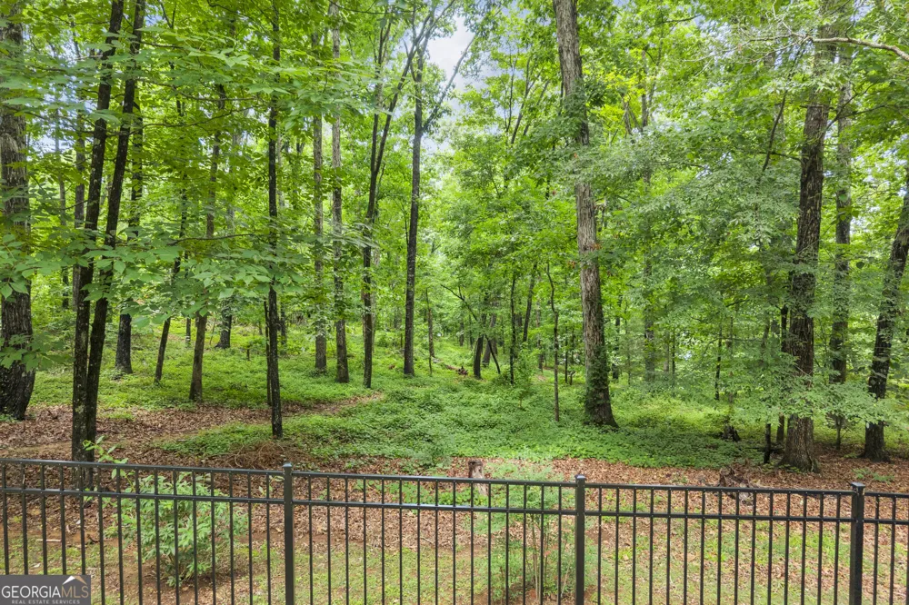 242 Pristine CV Hartwell, GA 30643