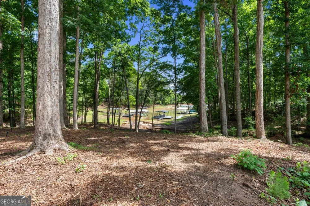 183 Lake Pointe RD Hartwell, GA 30643