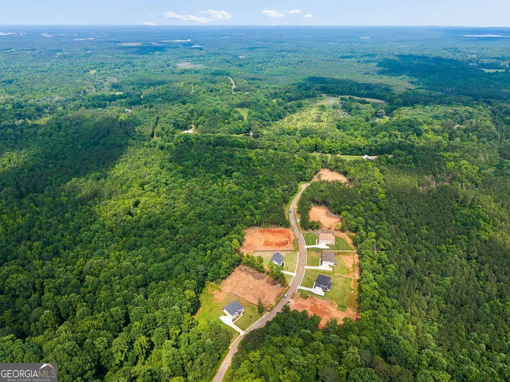 1025 Queens Bridge WAY Griffin, GA 30223