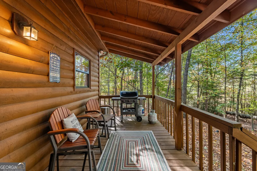 196 Ethan Wilson WAY Morganton, GA 30560