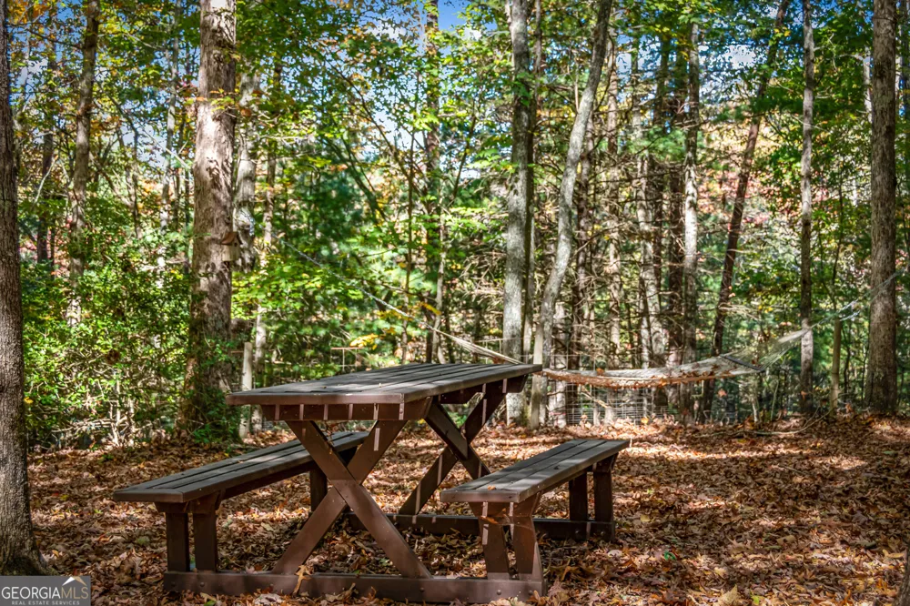 196 Ethan Wilson WAY Morganton, GA 30560