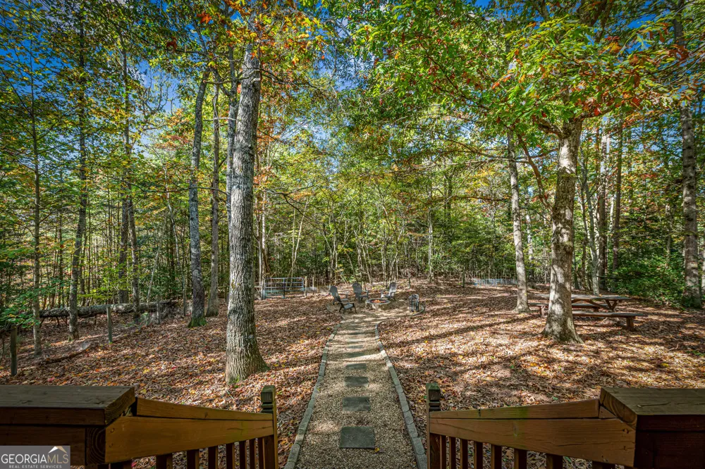196 Ethan Wilson WAY Morganton, GA 30560