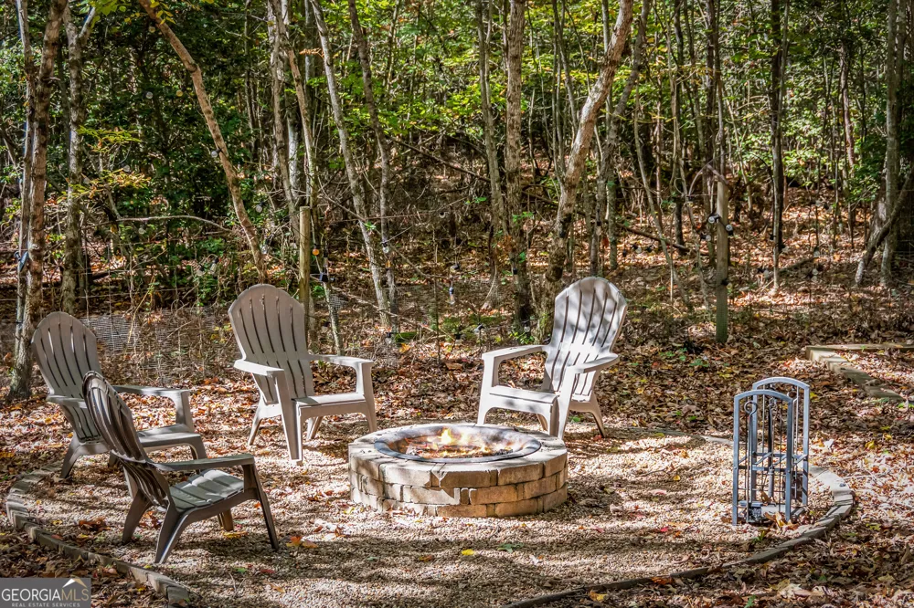 196 Ethan Wilson WAY Morganton, GA 30560