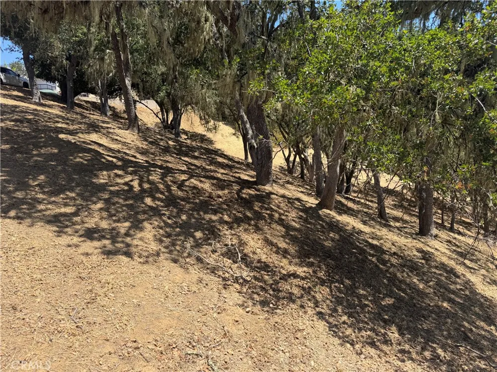 2174 Ridge Rider Bradley, CA 93426
