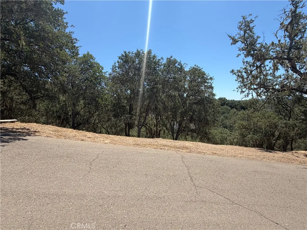 2174 Ridge Rider Bradley, CA 93426