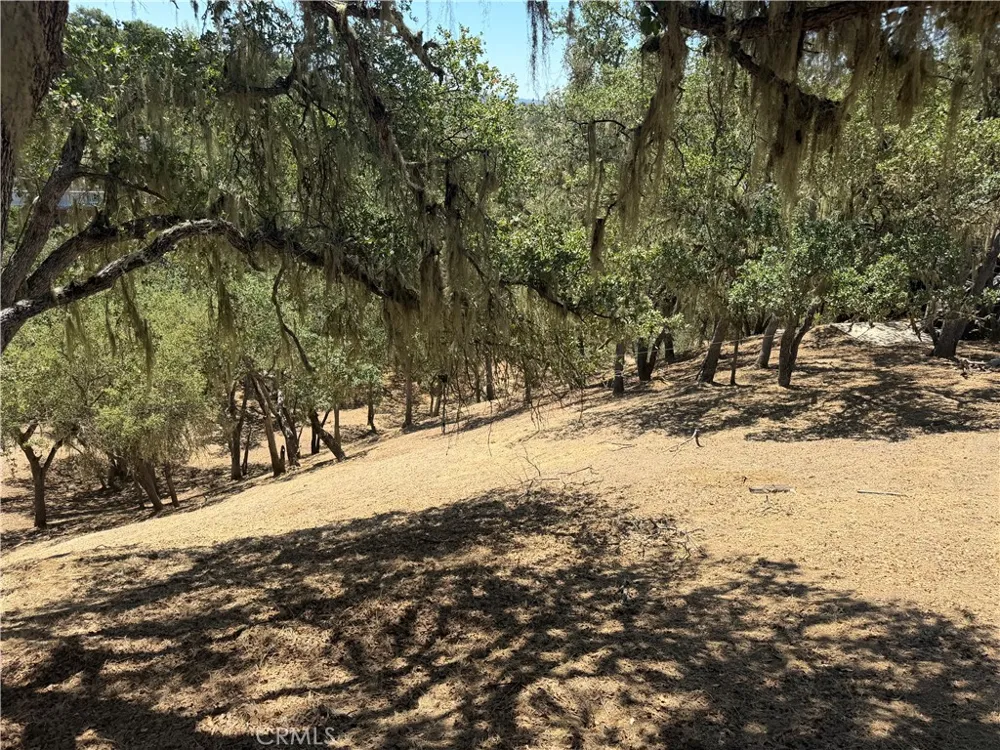 2174 Ridge Rider Bradley, CA 93426