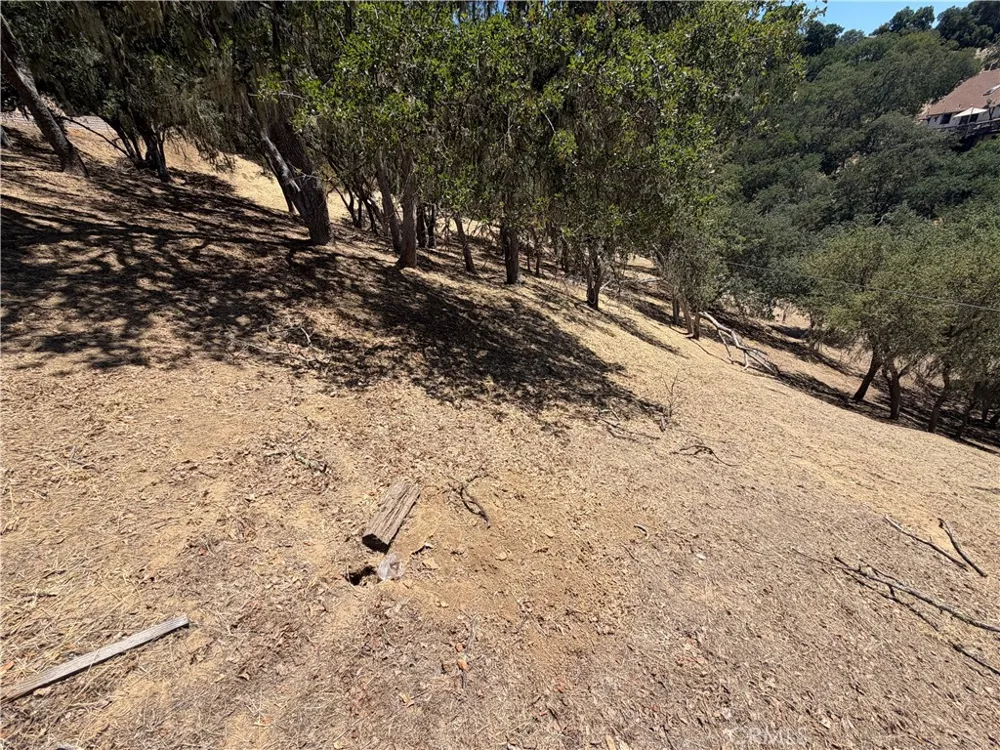 2174 Ridge Rider Bradley, CA 93426