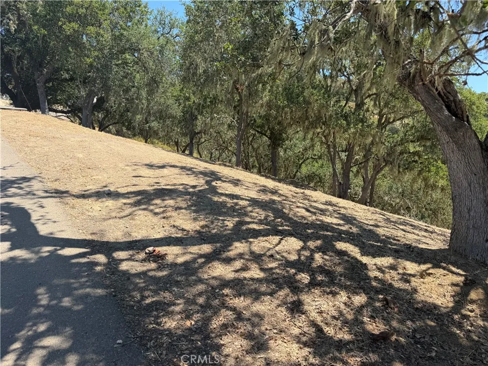 2174 Ridge Rider Bradley, CA 93426