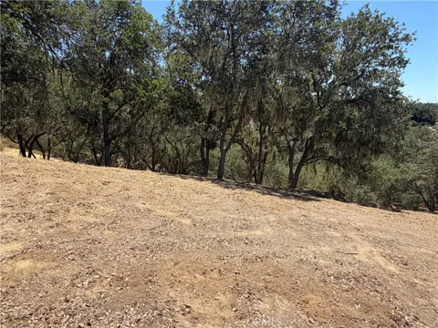 2174 Ridge Rider
