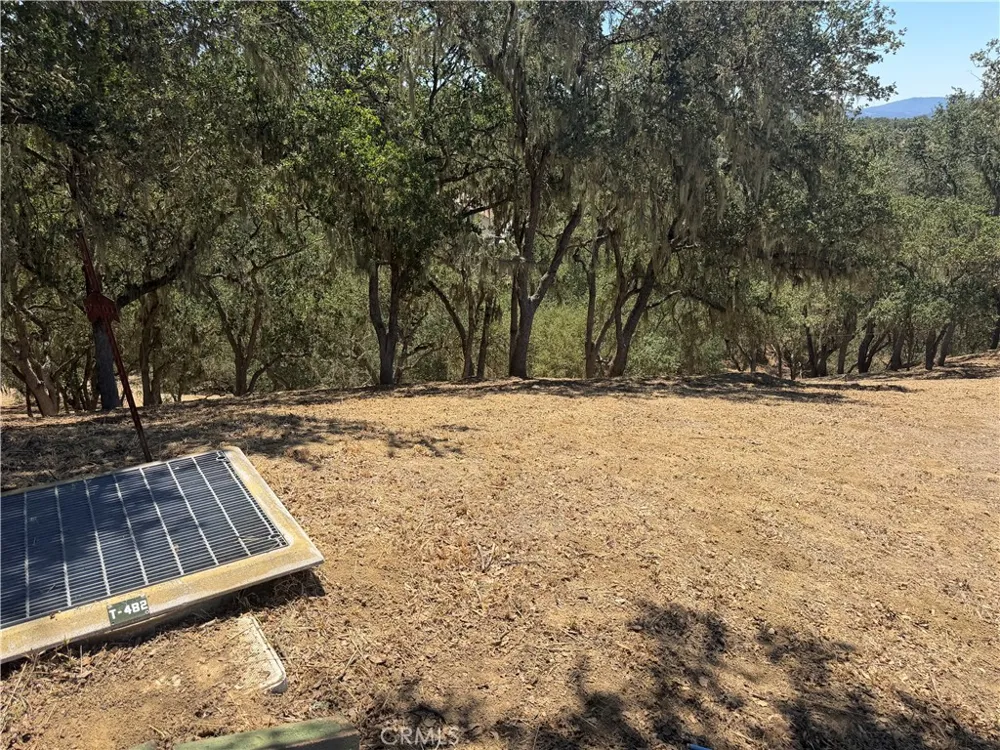 2174 Ridge Rider Bradley, CA 93426