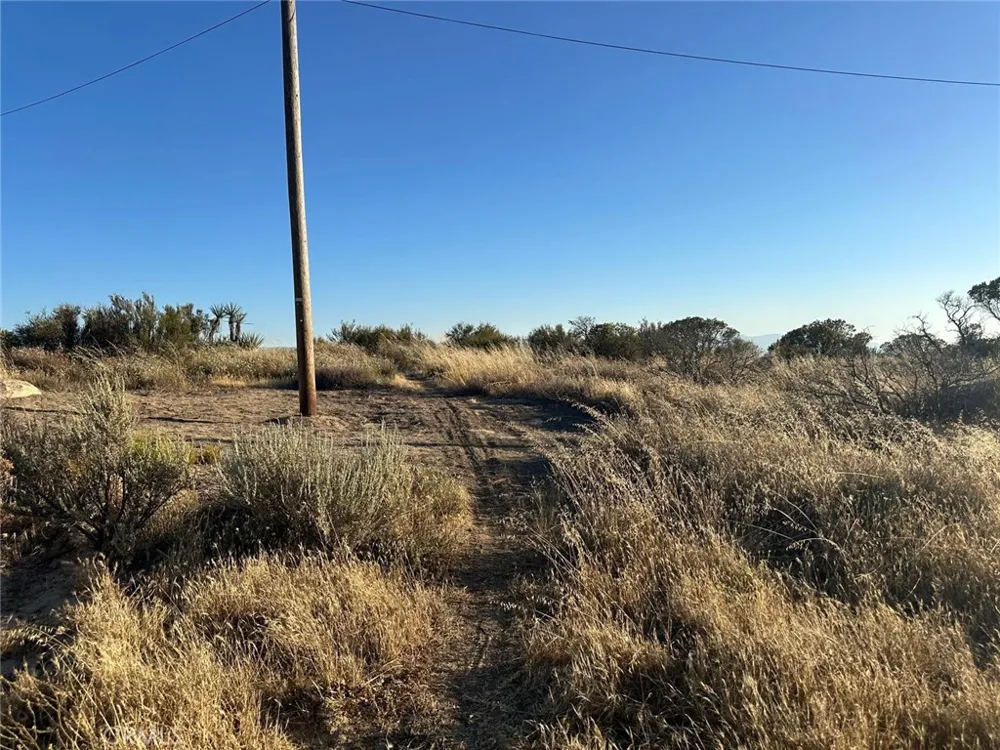Lake Canyon Drive Aguanga, CA 92536