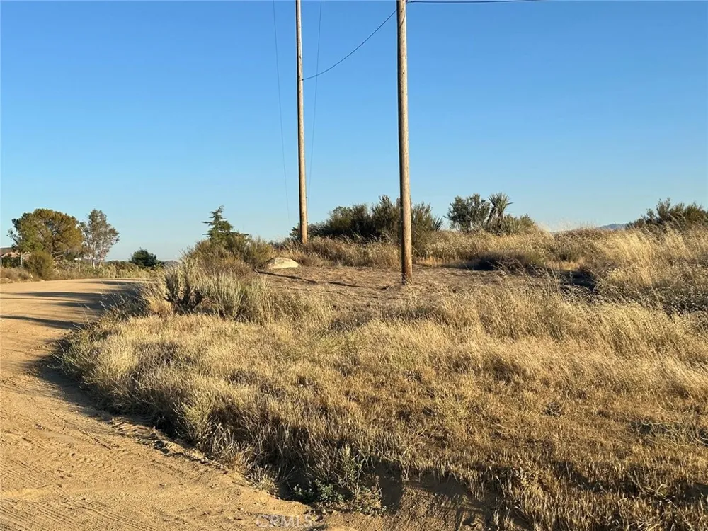 Lake Canyon Drive Aguanga, CA 92536