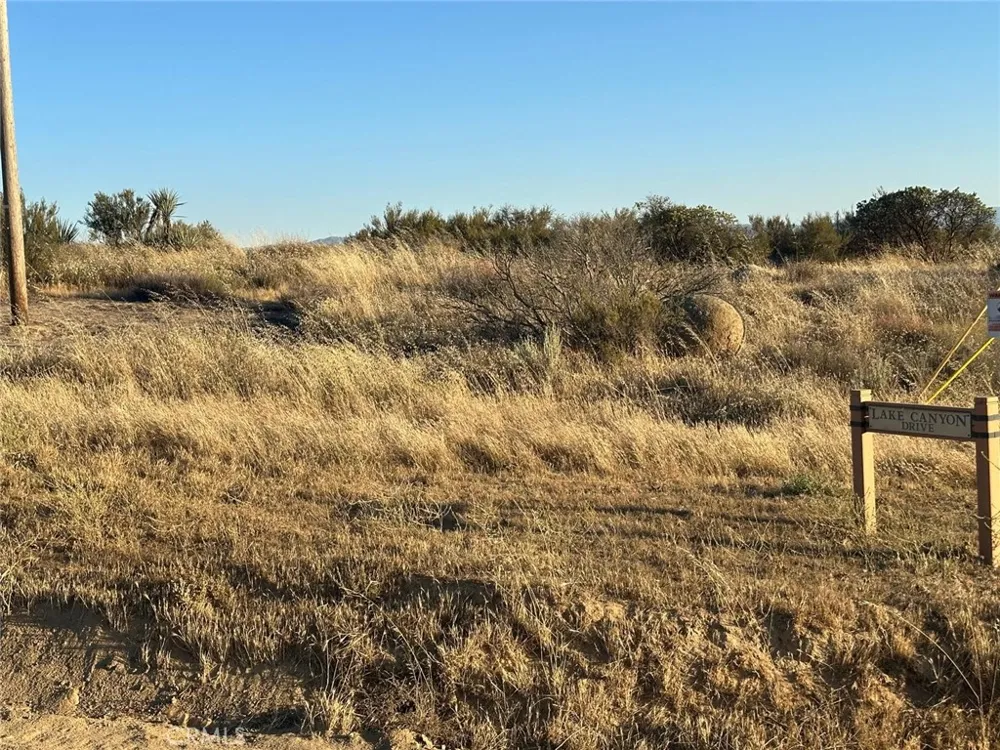 Lake Canyon Drive Aguanga, CA 92536