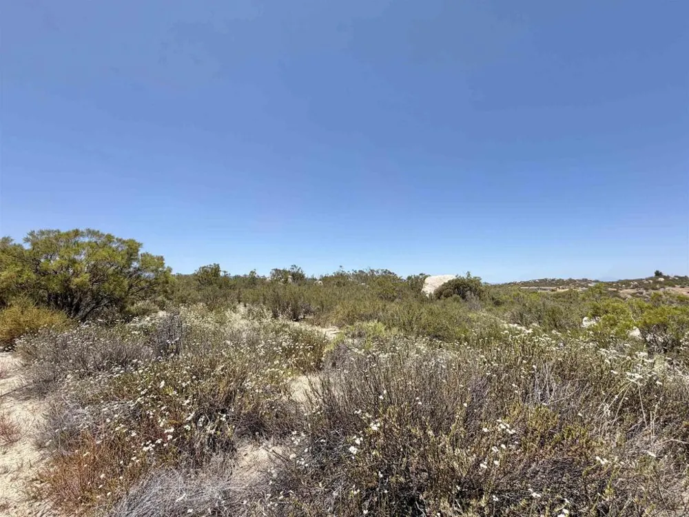 558 Derby Way Aguanga, CA 92536