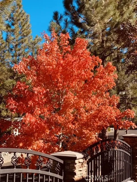 5319 Desert View Wrightwood, CA 92397