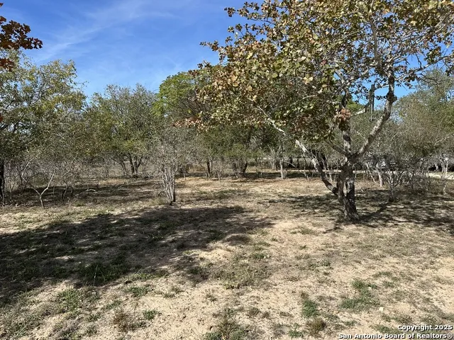 235 E King Phillips Poteet, TX 78065