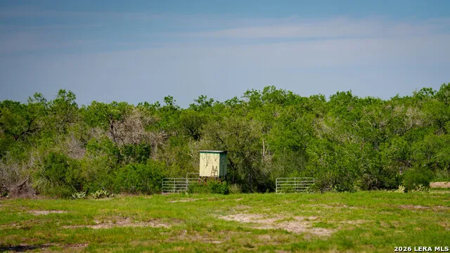 18000 FM 791 Campbellton, TX 78008