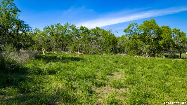 18000 FM 791 Campbellton, TX 78008