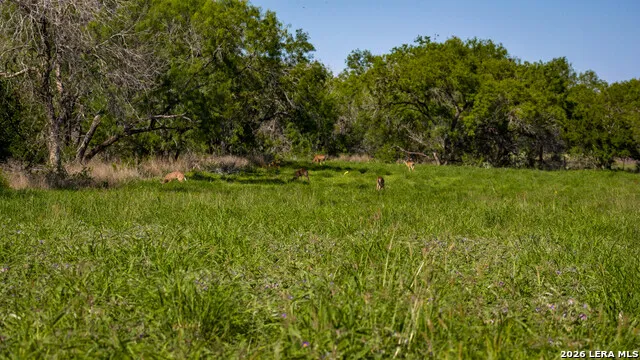 18000 FM 791 Campbellton, TX 78008