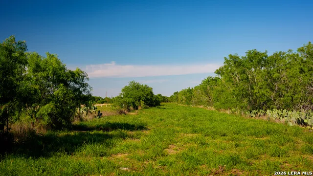 18000 FM 791 Campbellton, TX 78008
