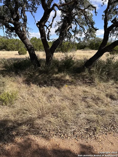 LOT 5 Seven Springs Drive Junction, TX 76849