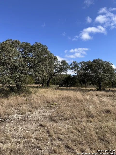 LOT 5 Seven Springs Drive Junction, TX 76849