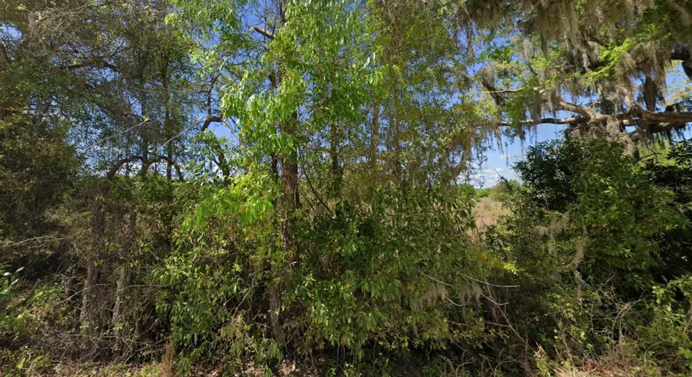 OFF NW CR 138 #Lot 71 Branford, FL 32008