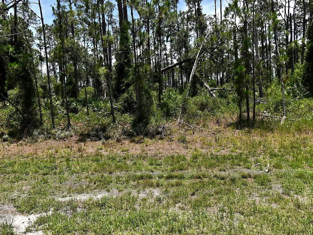 TROPICAIRE BOULEVARD North Port, FL 34291
