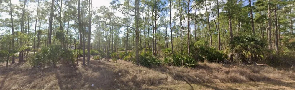 1303 GLENN AVENUE Lehigh Acres, FL 33972