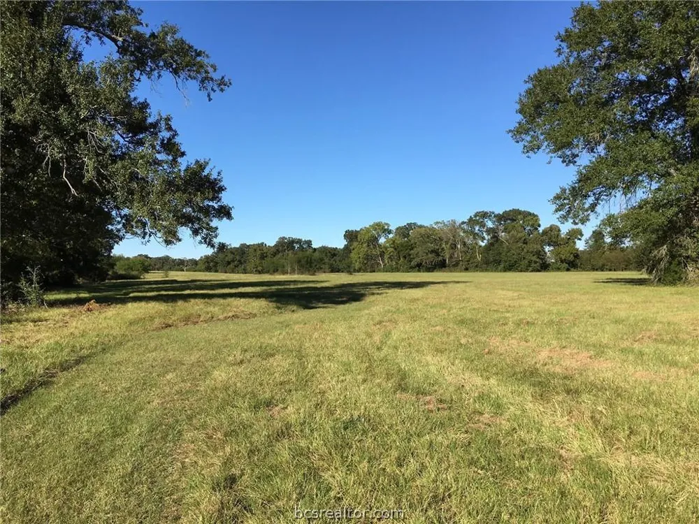 9489 Bishop Bend Iola, TX 77861