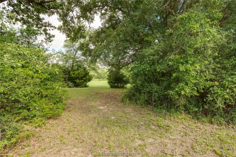 9489 Bishop Bend Iola, TX 77861