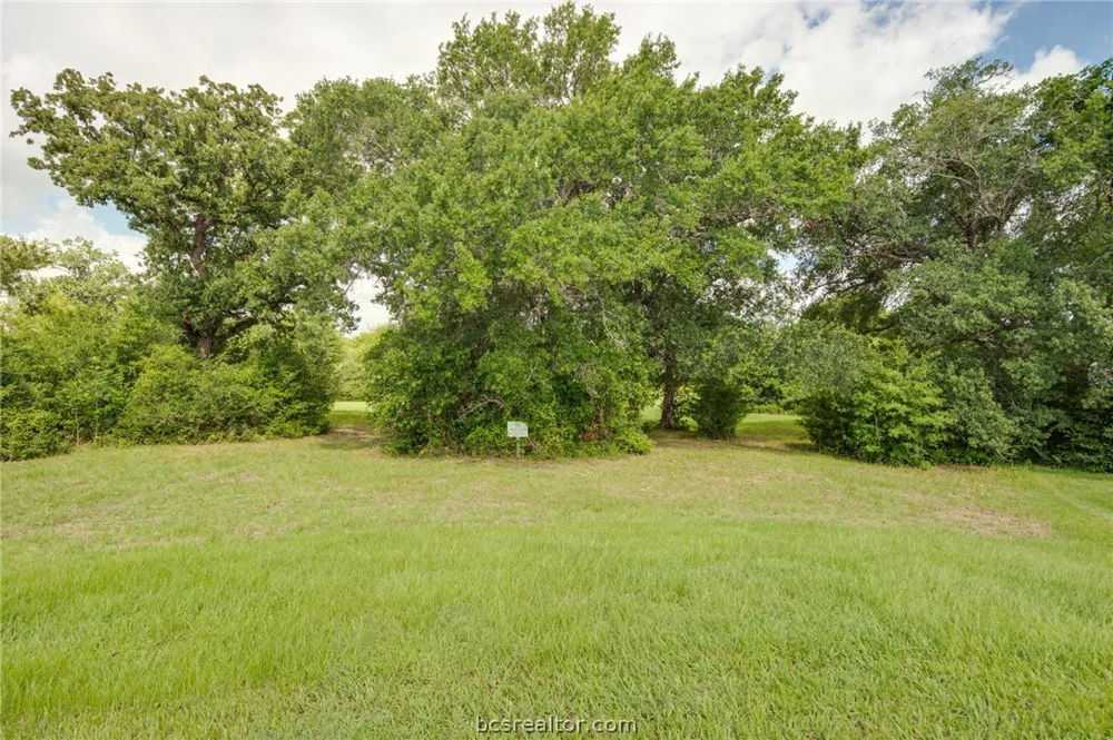 9489 Bishop Bend Iola, TX 77861