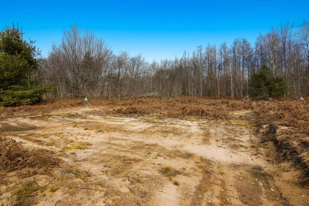 11095 Pleasant Ridge Mancelona Township, MI 49730