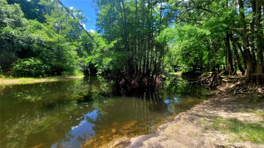 8664 CR 639 Bushnell, FL 33513