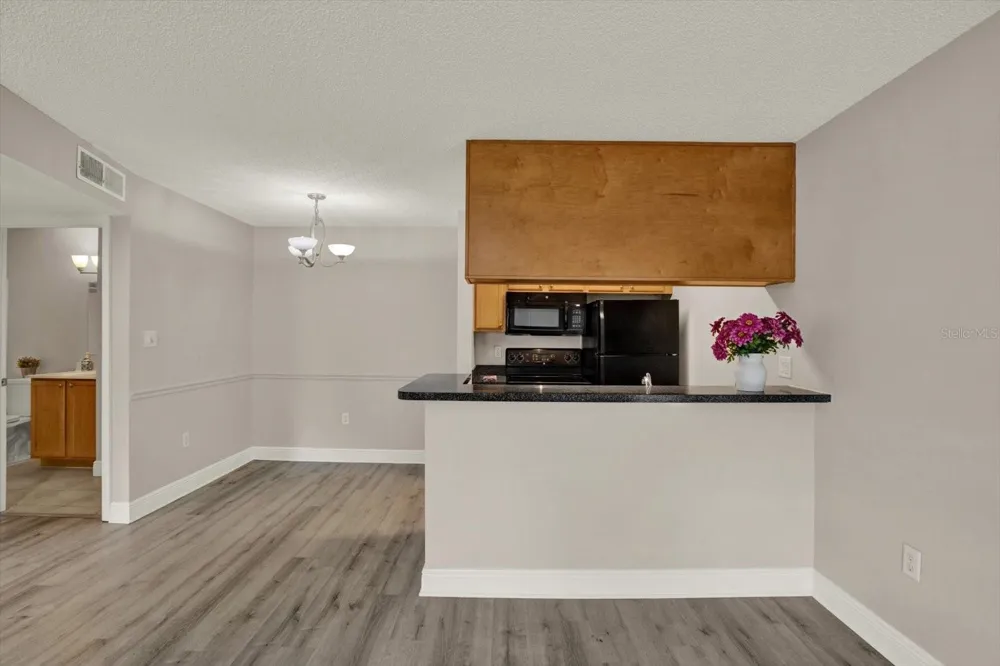 308 LAKE PARSONS GREEN #203 Brandon, FL 33511
