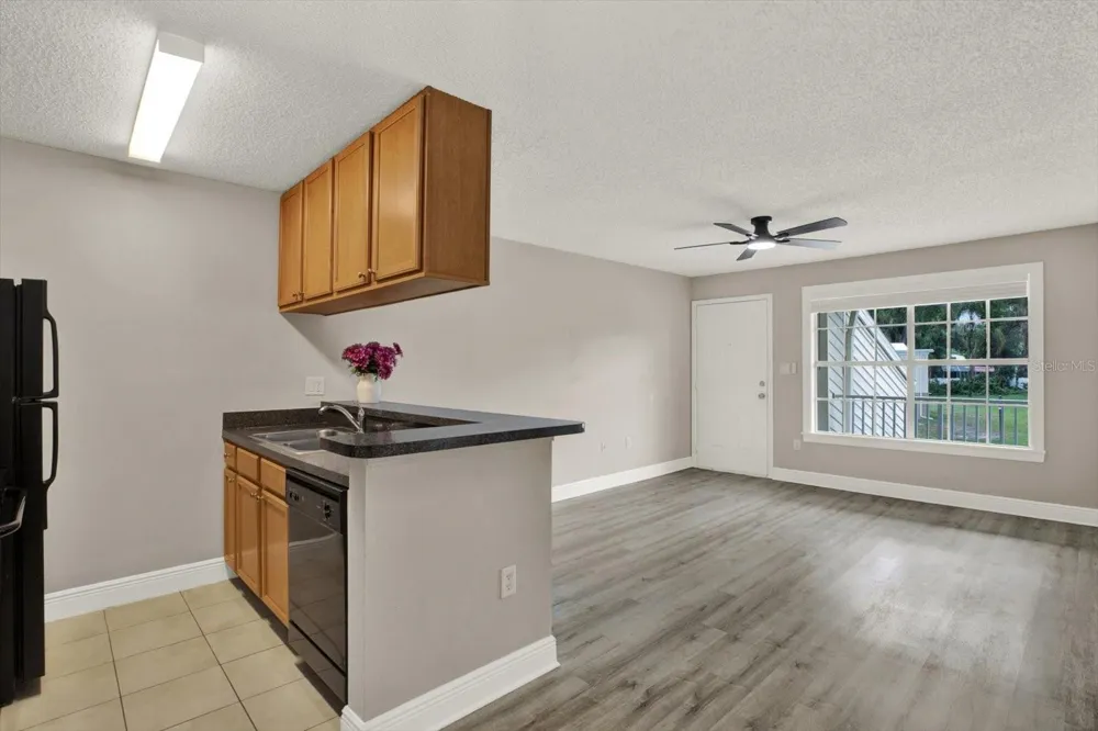 308 LAKE PARSONS GREEN #203 Brandon, FL 33511