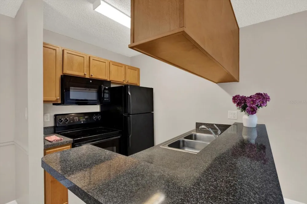 308 LAKE PARSONS GREEN #203 Brandon, FL 33511