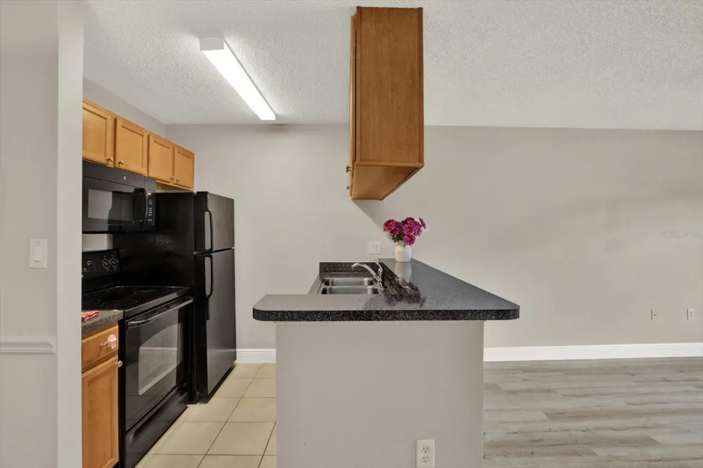 308 LAKE PARSONS GREEN #203 Brandon, FL 33511
