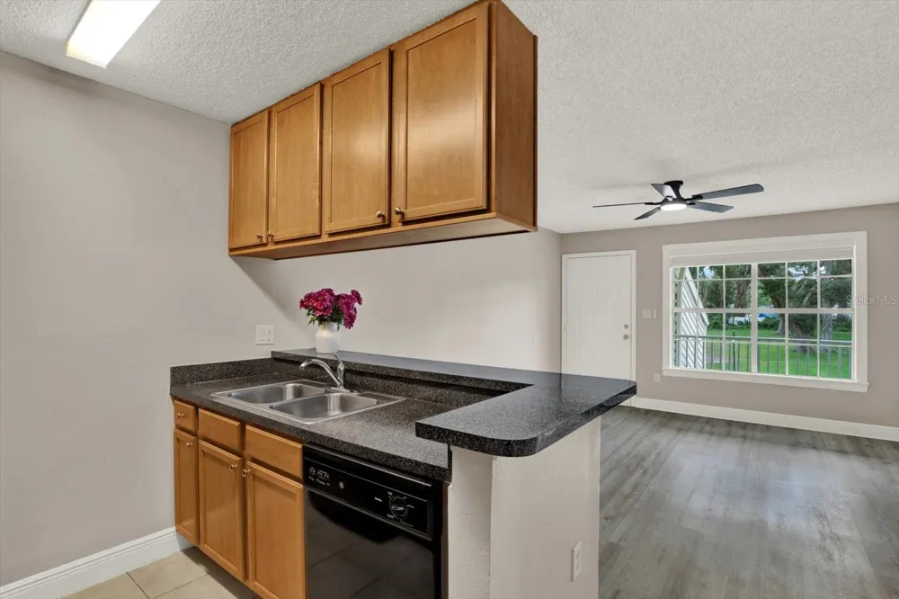 308 LAKE PARSONS GREEN #203 Brandon, FL 33511