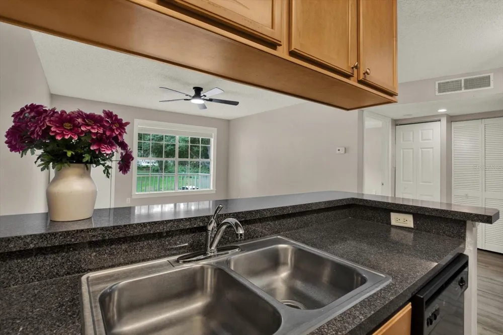 308 LAKE PARSONS GREEN #203 Brandon, FL 33511