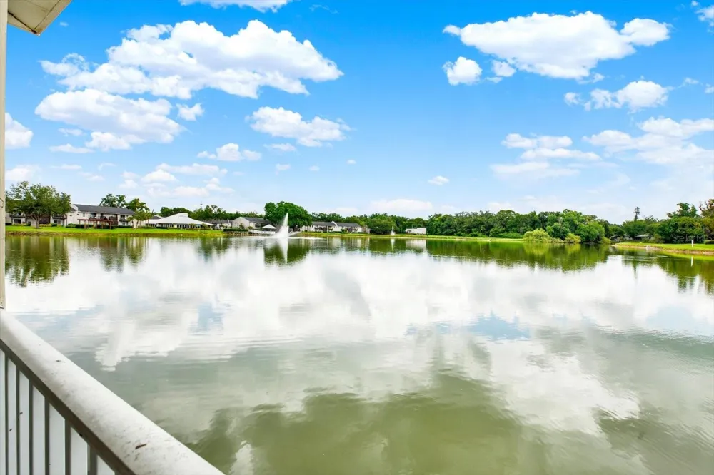 308 LAKE PARSONS GREEN #203 Brandon, FL 33511