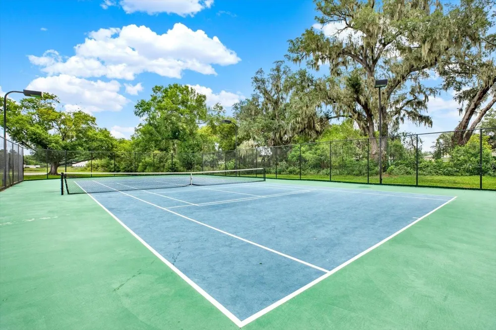 308 LAKE PARSONS GREEN #203 Brandon, FL 33511