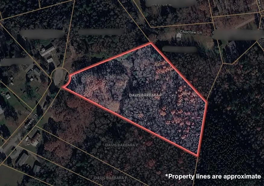 200 Bivens Court Niota, TN 37826