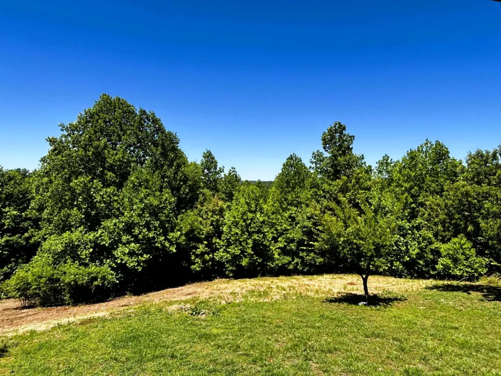 161 Willie Shell Road Reliance, TN 37369