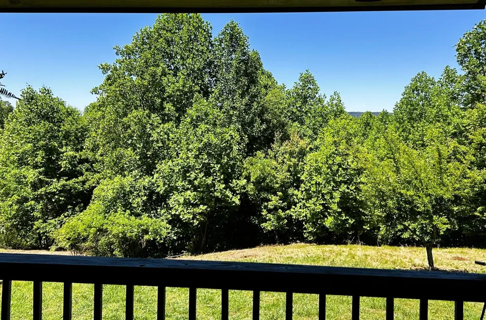161 Willie Shell Road Reliance, TN 37369
